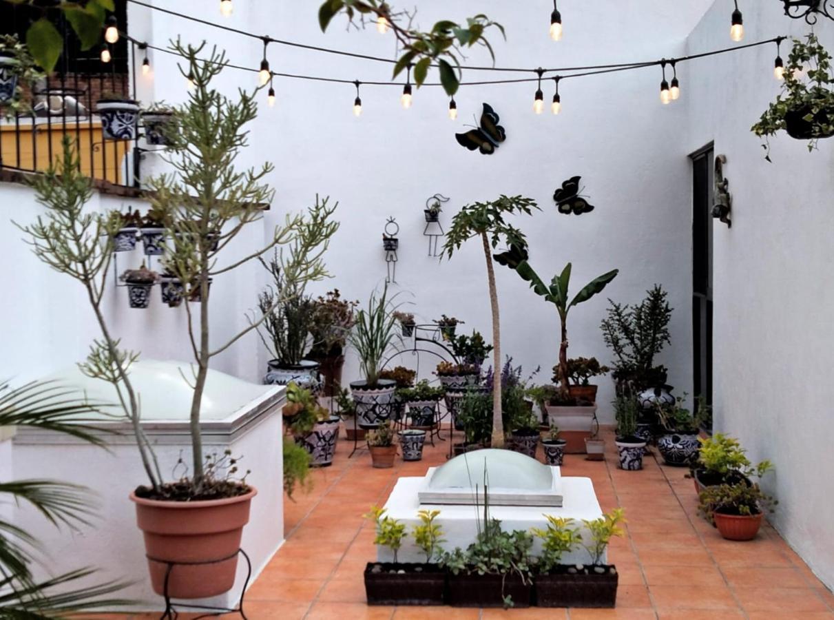 Villa Sueno Azul B&B Guanajuato Eksteriør billede